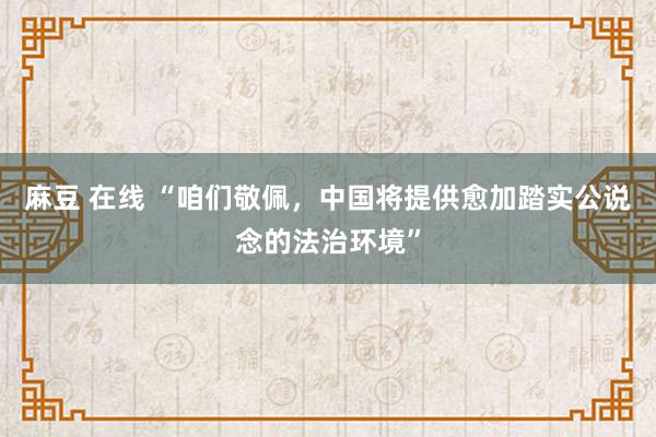 麻豆 在线 “咱们敬佩，中国将提供愈加踏实公说念的法治环境”