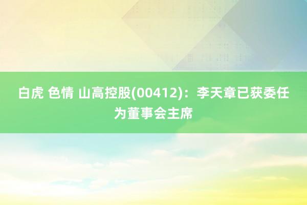 白虎 色情 山高控股(00412)：李天章已获委任为董事会主席