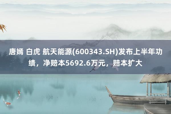 唐嫣 白虎 航天能源(600343.SH)发布上半年功绩，净赔本5692.6万元，赔本扩大