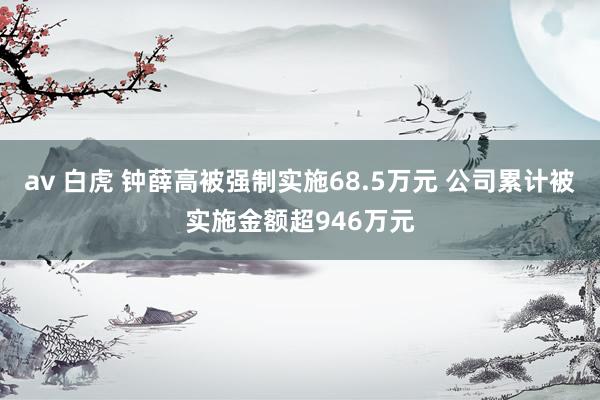 av 白虎 钟薛高被强制实施68.5万元 公司累计被实施金额超946万元